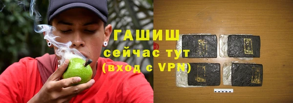 молекула духа Богданович
