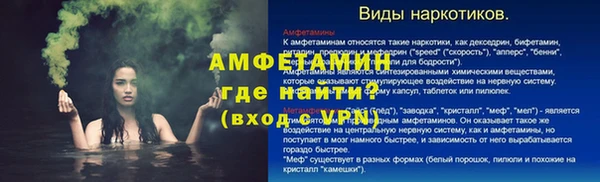 молекула духа Богданович