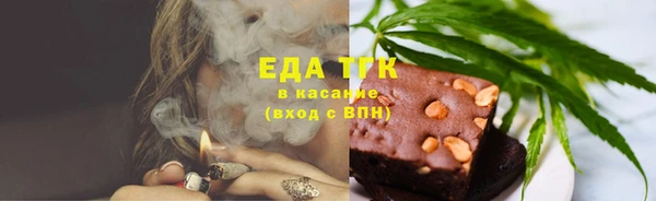 молекула духа Богданович