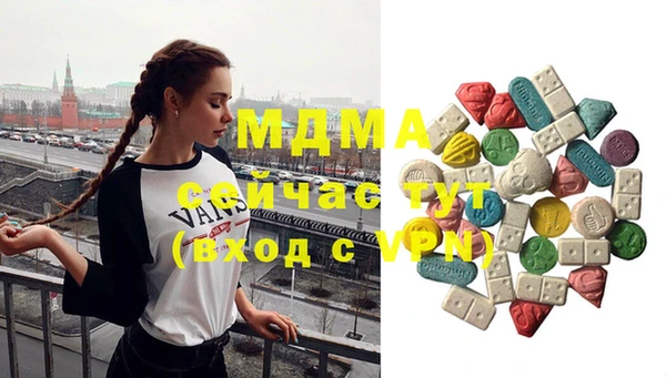 молекула духа Богданович