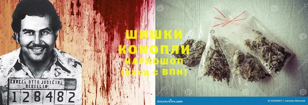 прущие грибы Беломорск