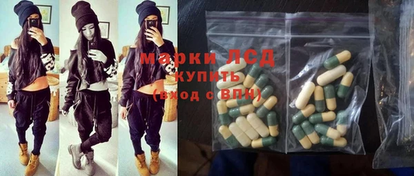 индика Белокуриха