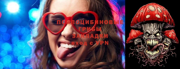 прущие грибы Беломорск