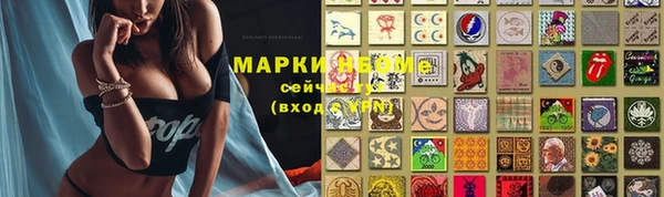 индика Белокуриха