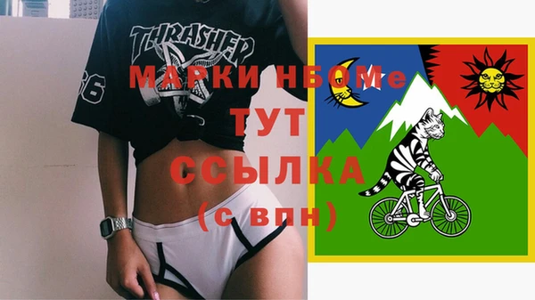 дмт Богородицк