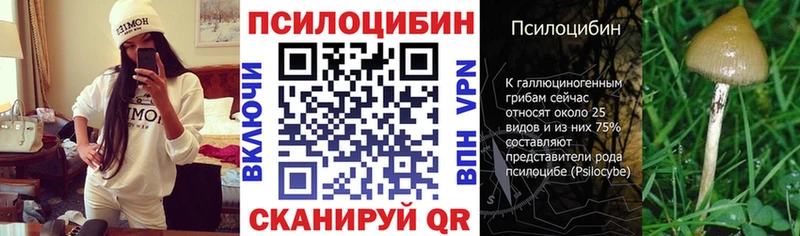 Галлюциногенные грибы мицелий  наркота  Буй 